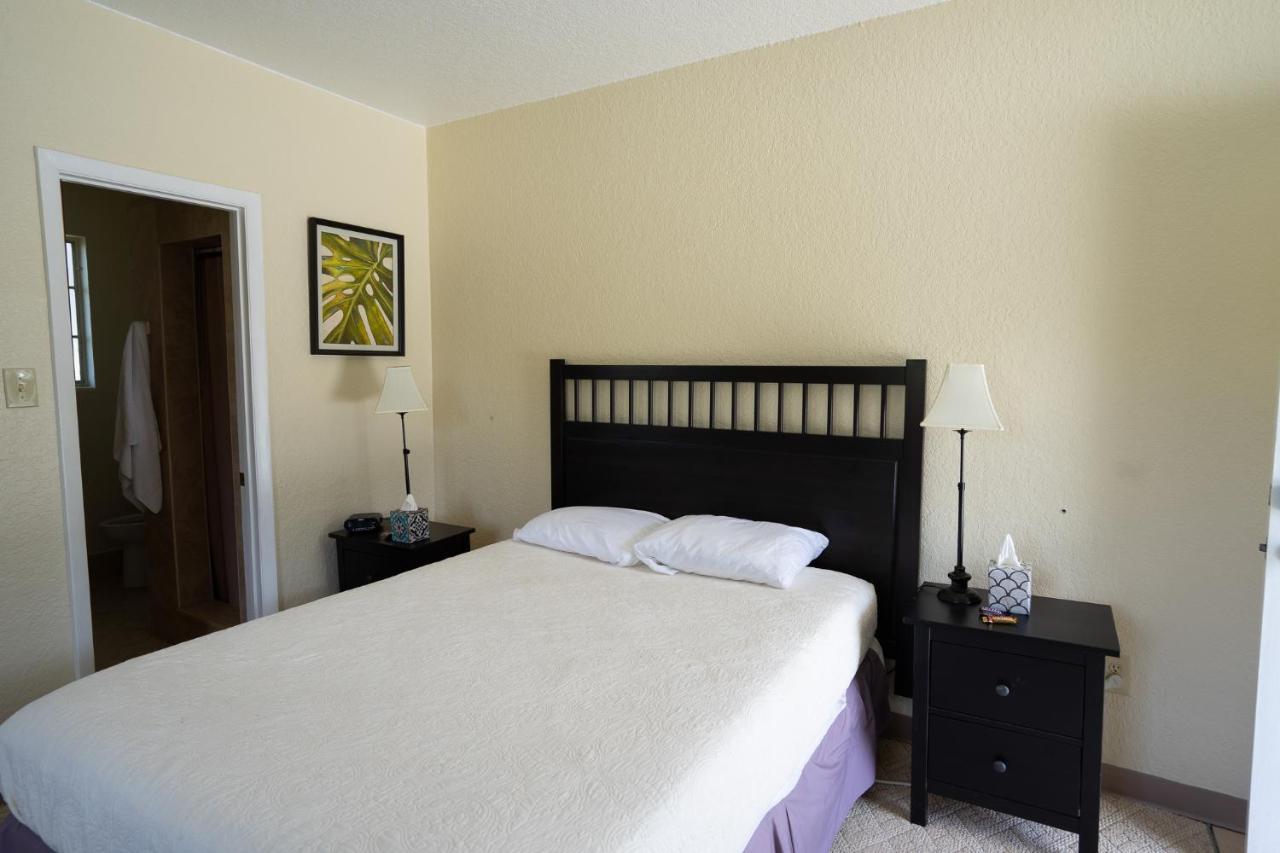 Mar Bay Exclusive Suites Safety Harbor Dış mekan fotoğraf